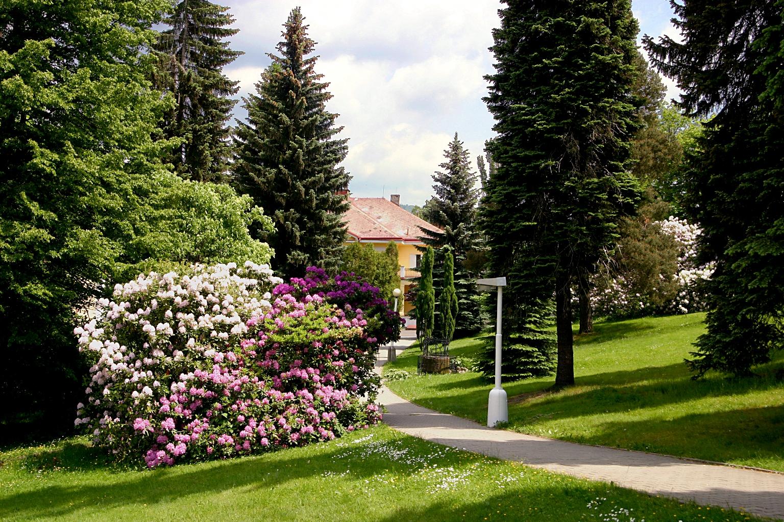 Spa Resort Libverda - Hotel Panorama Lázně Libverda Exterior foto
